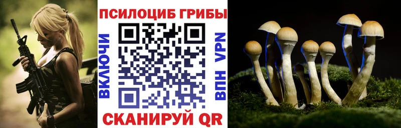 хочу   Алупка  Галлюциногенные грибы мицелий 